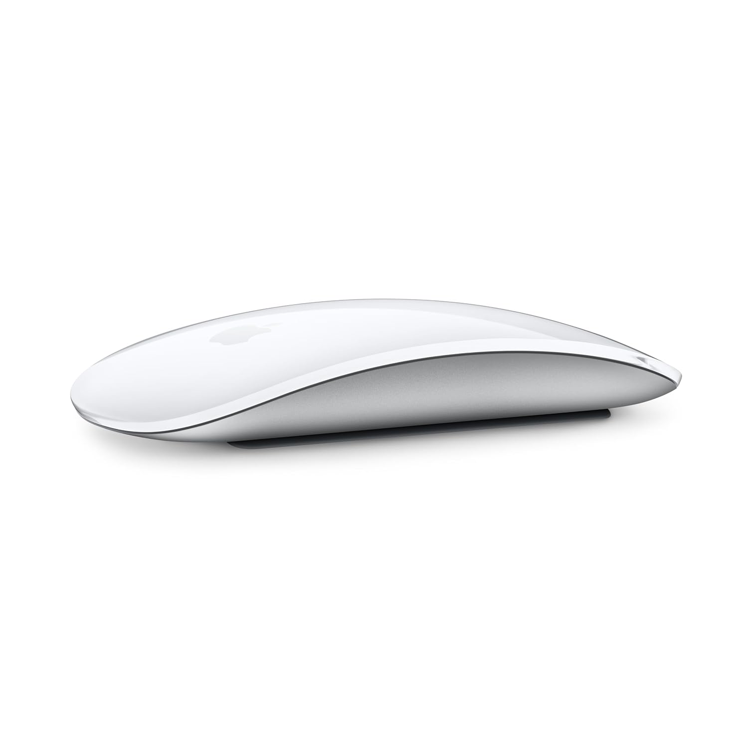 Magic mouse 1